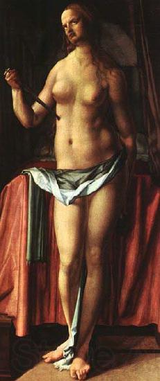 Albrecht Durer The Suicide of Lucrezia France oil painting art